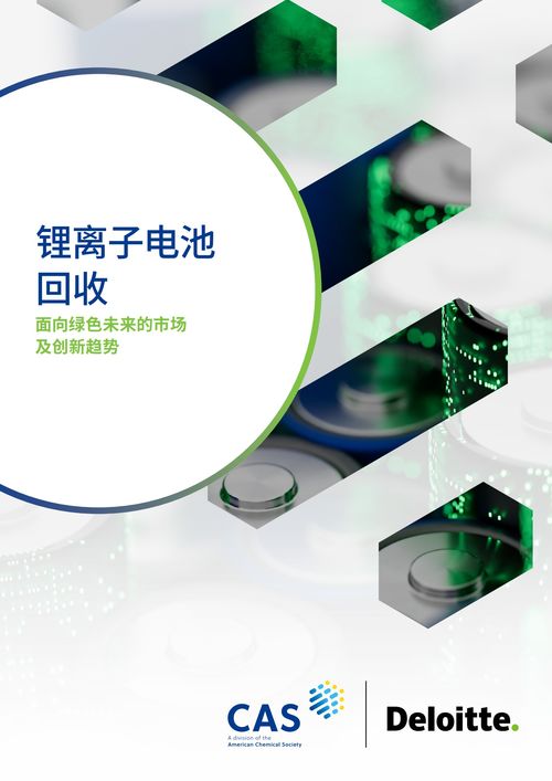 博萃循環完成數千萬元B輪融資，太平科創基金加速數字技術服務布局